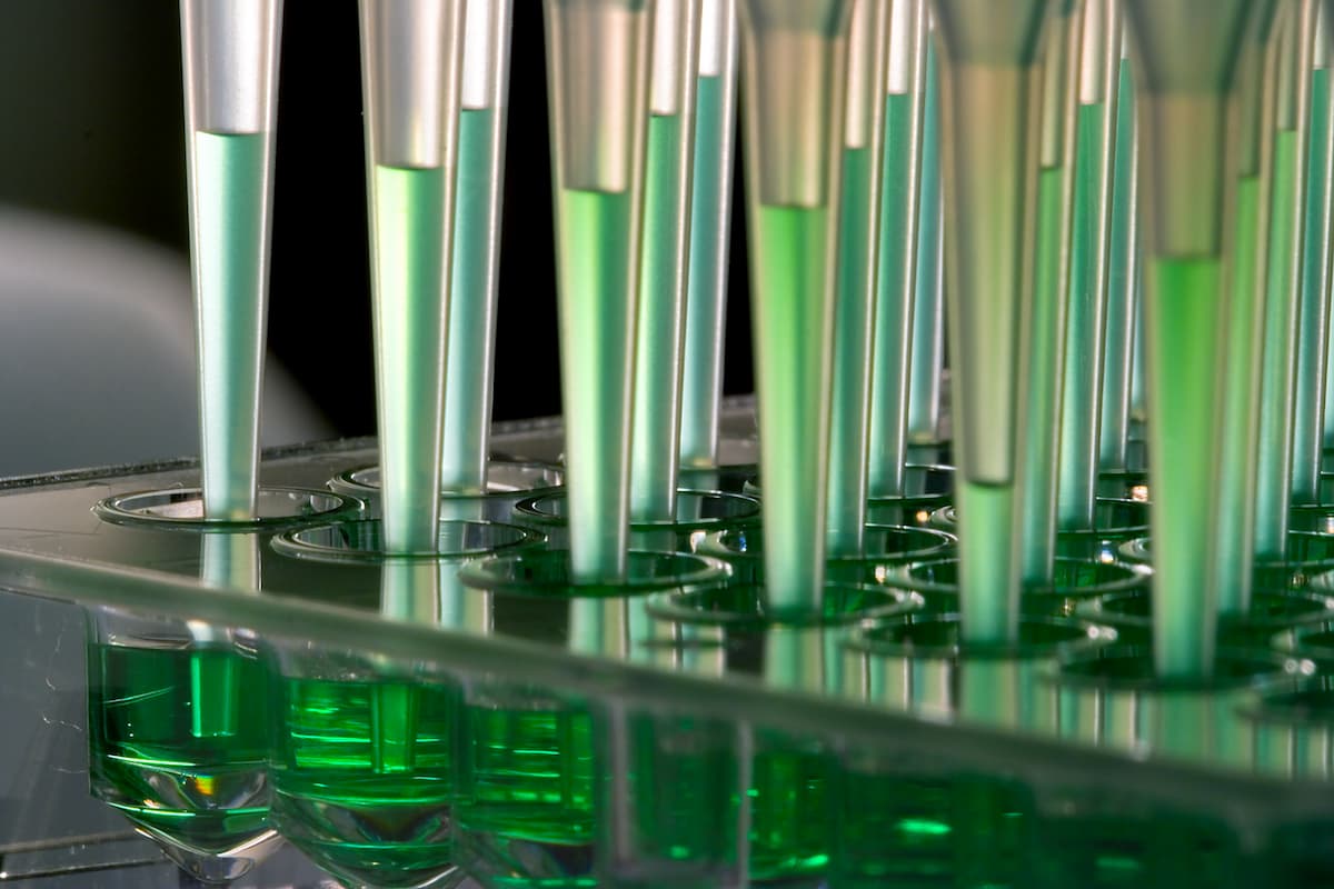 Close-up of a pipette tip rack with green liquid being dispensed into a microplate for laboratory testing or research.